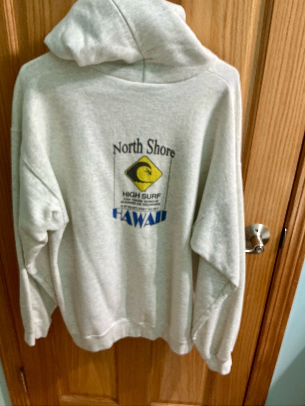 Hanes Light Gray Pullover Hoodie - Neutral Everyday Wear